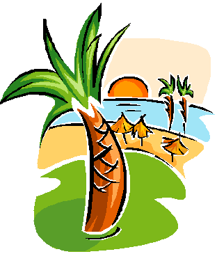 Luau Tropical Party Theme Chicago Moonwalks,  Party Rentals Chicago IL