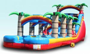 Palm Paradise Dual Lane Waterslide Rental in Chicago, Inflatable Waterslide