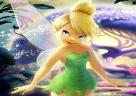 Tinkerbell Moonwalk Bounce House Party Rental Chicago Illinois